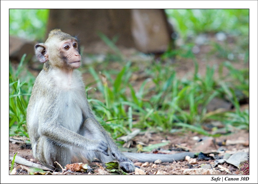 2006 - 07 - Phnom Penh - Wat Phrom 21